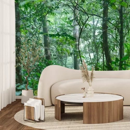 Papier peint  Jungle tropicale après la pluie