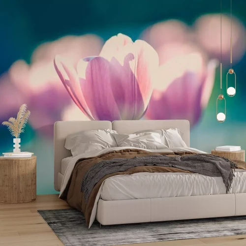 Papier peint  Tulipes dans le jardin