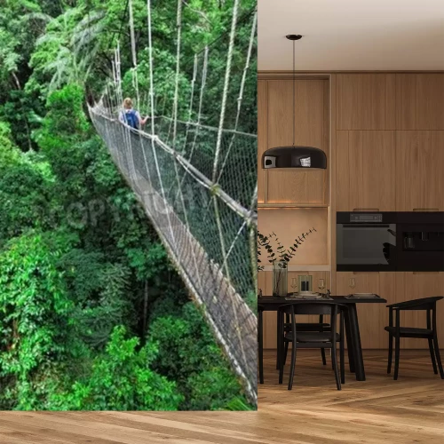 Papier peint  Pont de cordes dans la jungle verte