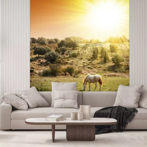 Papier peint  Paysage ensoleillé avec un cheval