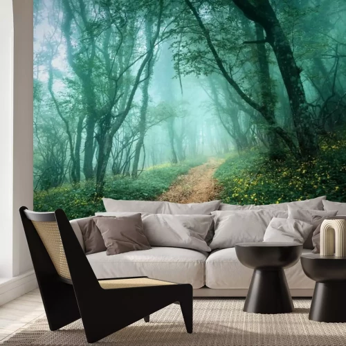 Papier peint  Paysage mystérieux dans une forêt brumeuse