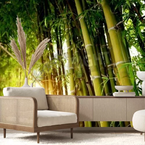 Papier peint  La forêt vierge de bambou