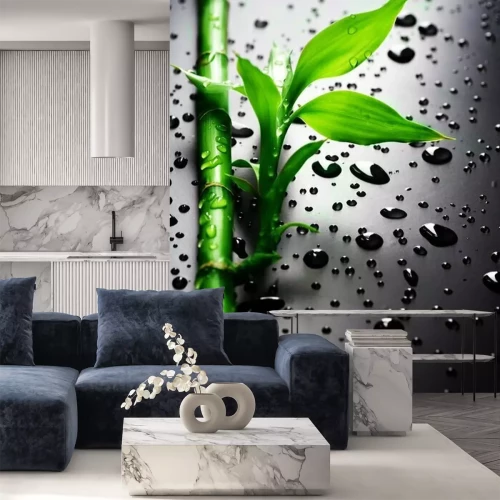 Papier peint  Bambou et gouttes d'eau sur fond noir
