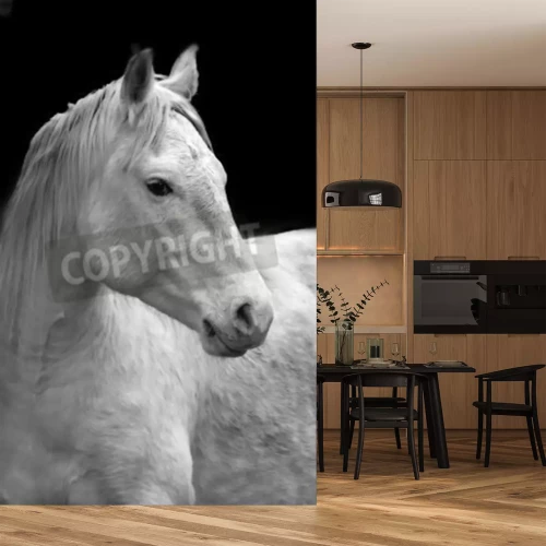 Papier peint  Portrait de cheval sur un fond foncé