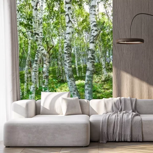 Papier peint  Bouleaux dans une forêt chinoise