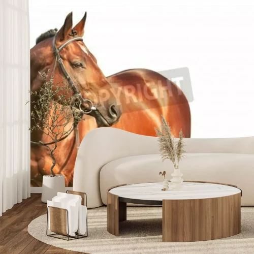 Papier peint  Etalon noir sur un fond clair