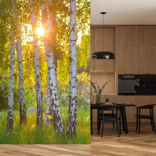 Papier peint  Bouleaux dans une forêt de l'été