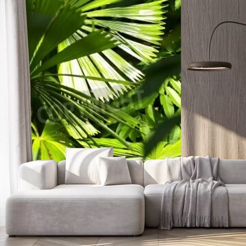 Papier peint  Les plantes de la jungle au soleil