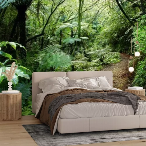 Papier peint  Forêt tropicale en Nouvelle-Zélande
