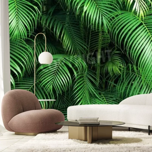 Papier peint  Feuilles de palmier dans la jungle