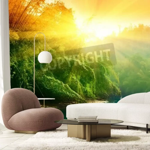 Papier peint  Coucher de soleil sur la forêt vierge