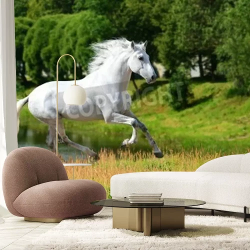 Papier peint  Jument qui court dans le pré