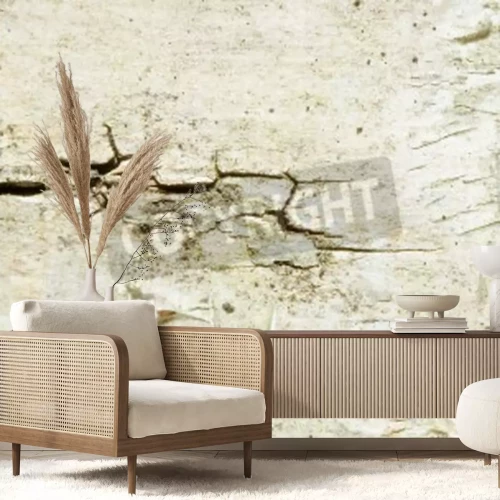 Papier peint  Écorce de bouleau macro