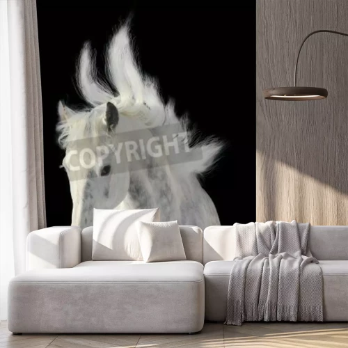 Papier peint  Animal avec la crinière dans le vent