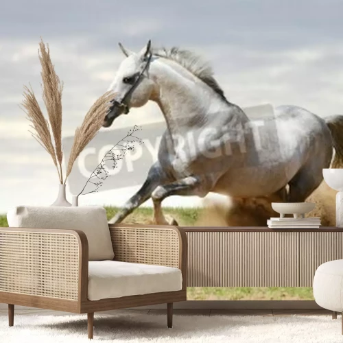 Papier peint  Cheval qui court dans le sable