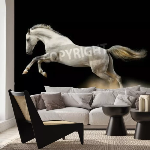 Papier peint  Cheval qui saute sur un fond foncé