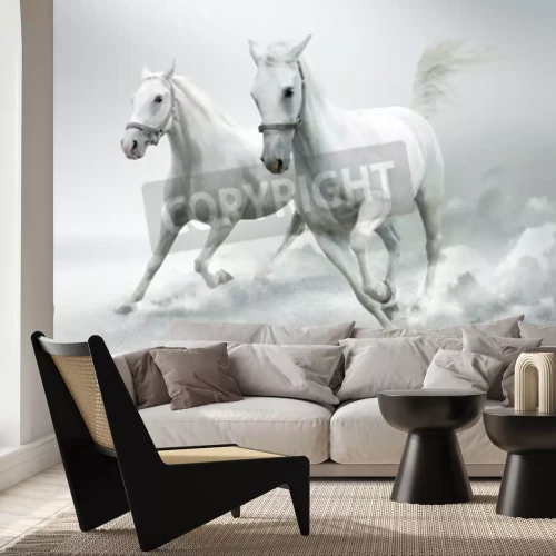 Papier peint  Chevaux blancs dans la poussière
