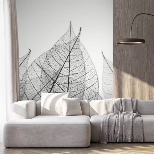 Sticker  Feuilles noires et blanches en gros plan