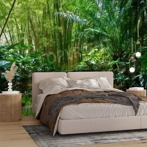 Papier peint  Les zones humides de la forêt vierge