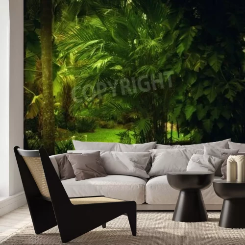 Papier peint  La forêt vierge et les arbres sombres