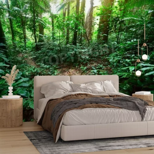 Papier peint  Forêt de la jungle tropicale