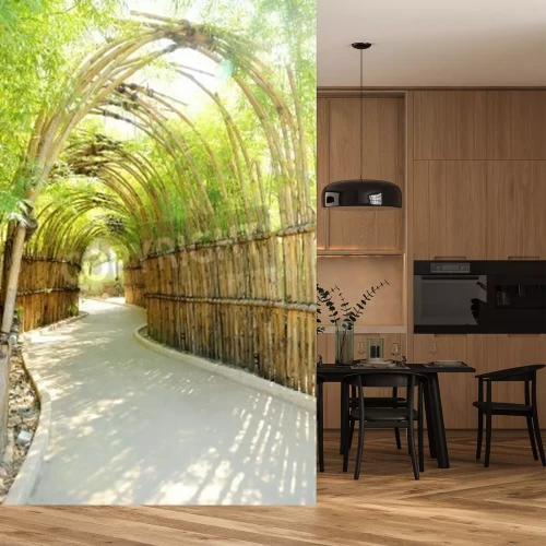 Papier peint  Tunnel de bambou 3d