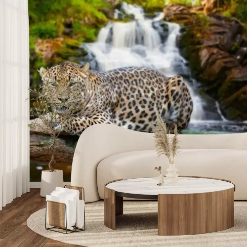Papier peint  Jungle jaguar et cascade