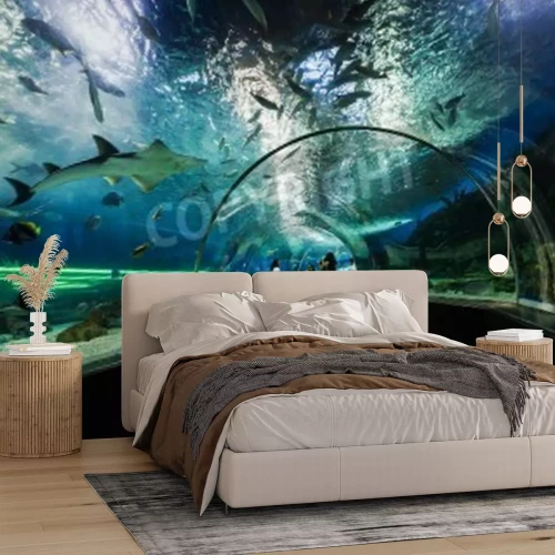 Papier peint  Tunnel dans un océanarium avec des requins
