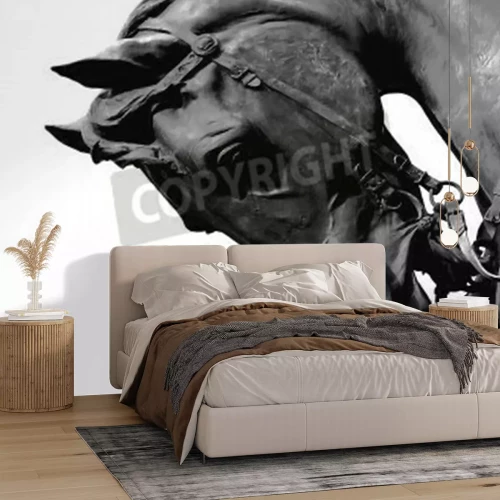 Papier peint  Etalon noir sur fond clair