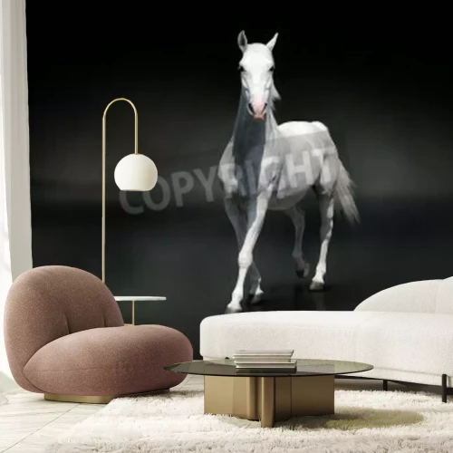 Papier peint  Cheval majestueux sur fond noir