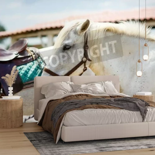 Papier peint  Chevaux près de l'enclos