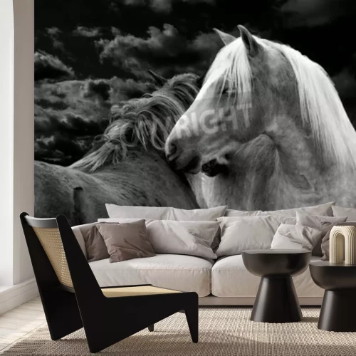 Papier peint  Image de chevaux la nuit