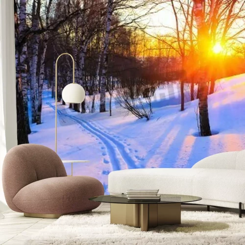 Papier peint  Bouleaux en hiver en Russie