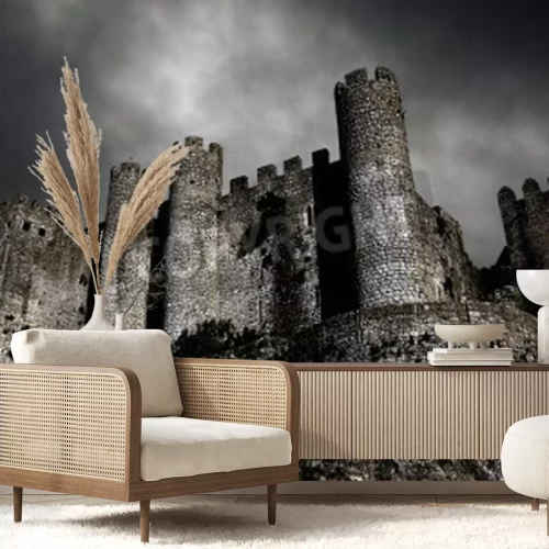 Papier peint  Château sombre la nuit