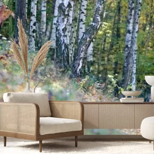 Papier peint  Herbes et bouleaux