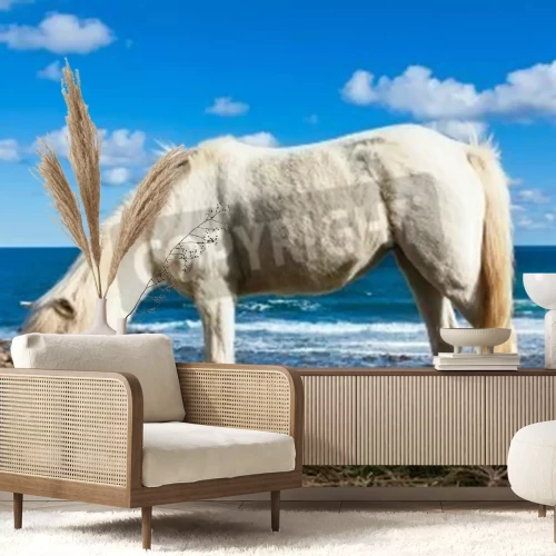 Papier peint  Cheval sur la plage