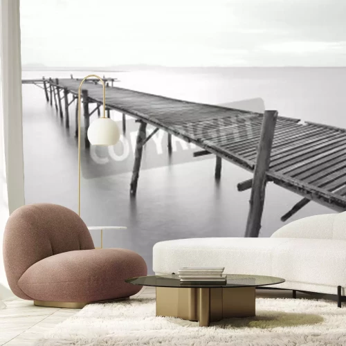 Papier peint  Passerelle ancienne noir et blanc