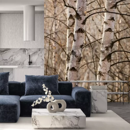 Papier peint  Bouleaux en hiver