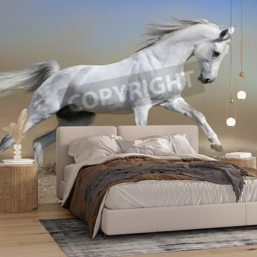 Papier peint  Cheval qui court dans la poussière