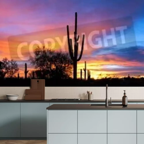 Papier peint  Cactus du désert en arrière-plan de l'Ouest