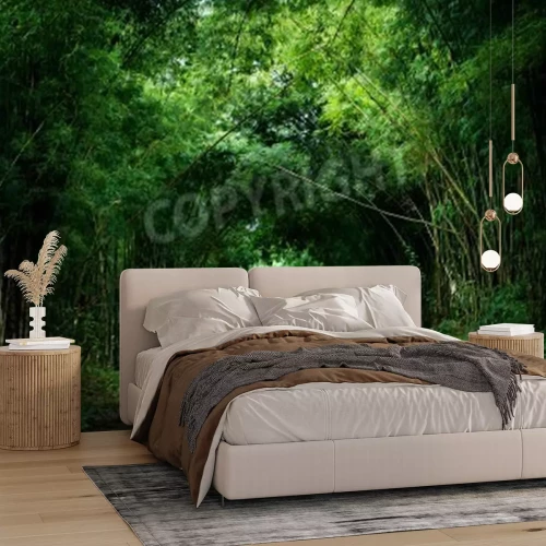 Papier peint  La route à travers la forêt tropicale de bambous