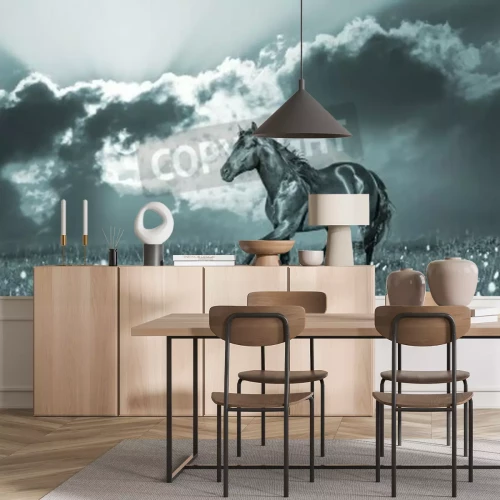 Papier peint  Etalon et rayons de soleil