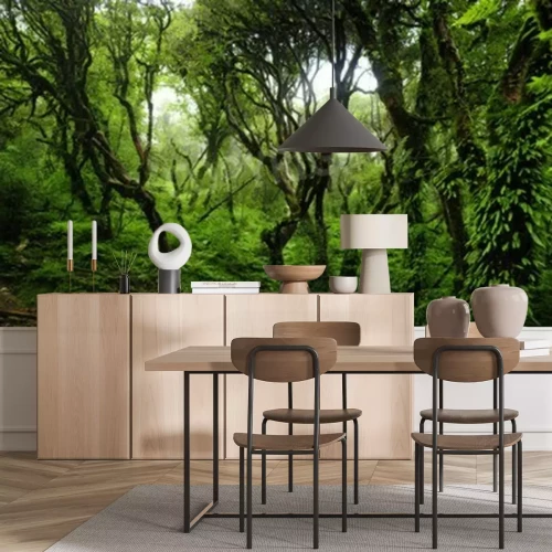 Papier peint  Arbres et lianes de la jungle