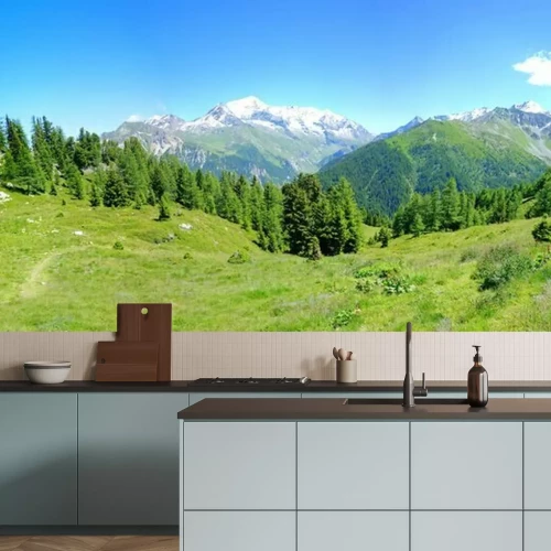 Papier peint  Panorama vert des Alpes