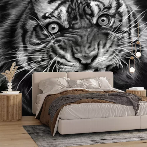 Papier peint  Tigre sauvage en noir et blanc