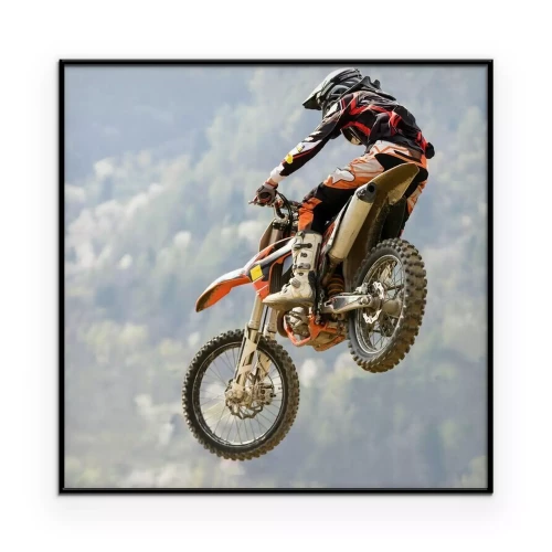 Poster  Un motard en vol sur fond de forêt