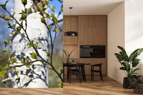 Visualisation du produit