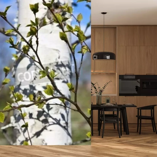 Papier peint  Brindilles d'un bouleau