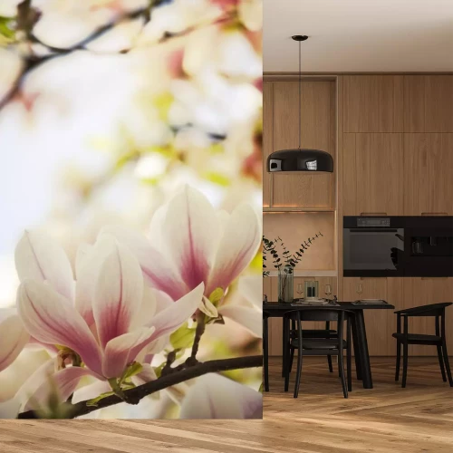 Sticker  Magnolia aux pétales bicolores