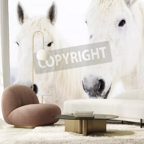 Papier peint  Deux chevaux enneigés